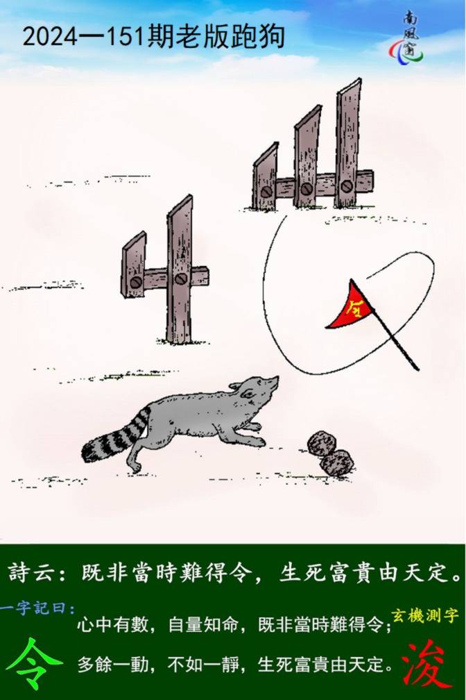 王中王论坛