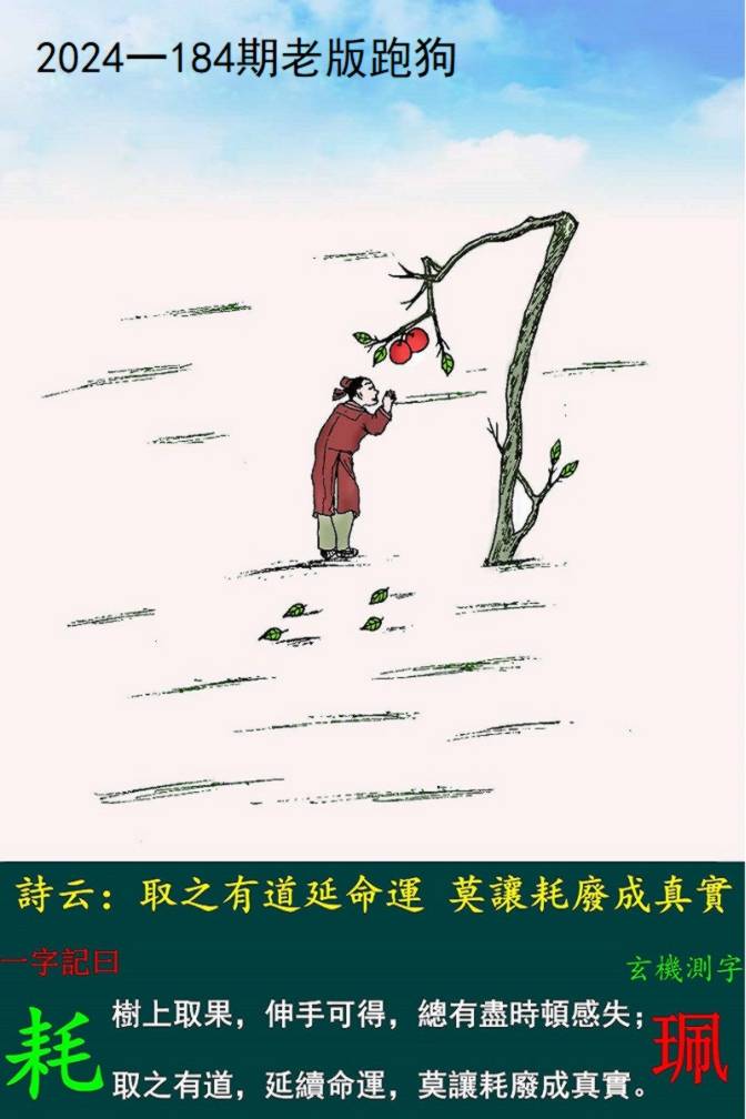 王中王论坛