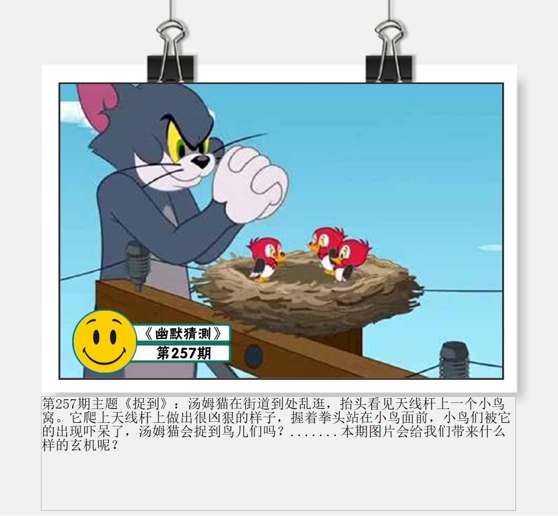 图片正在更新中……