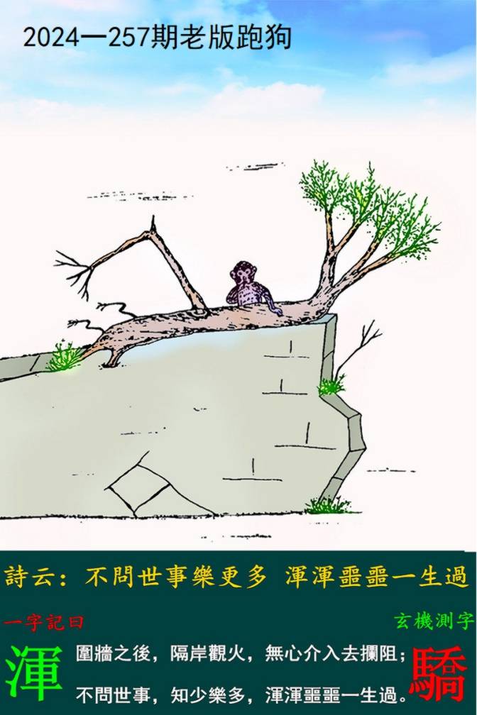 王中王论坛