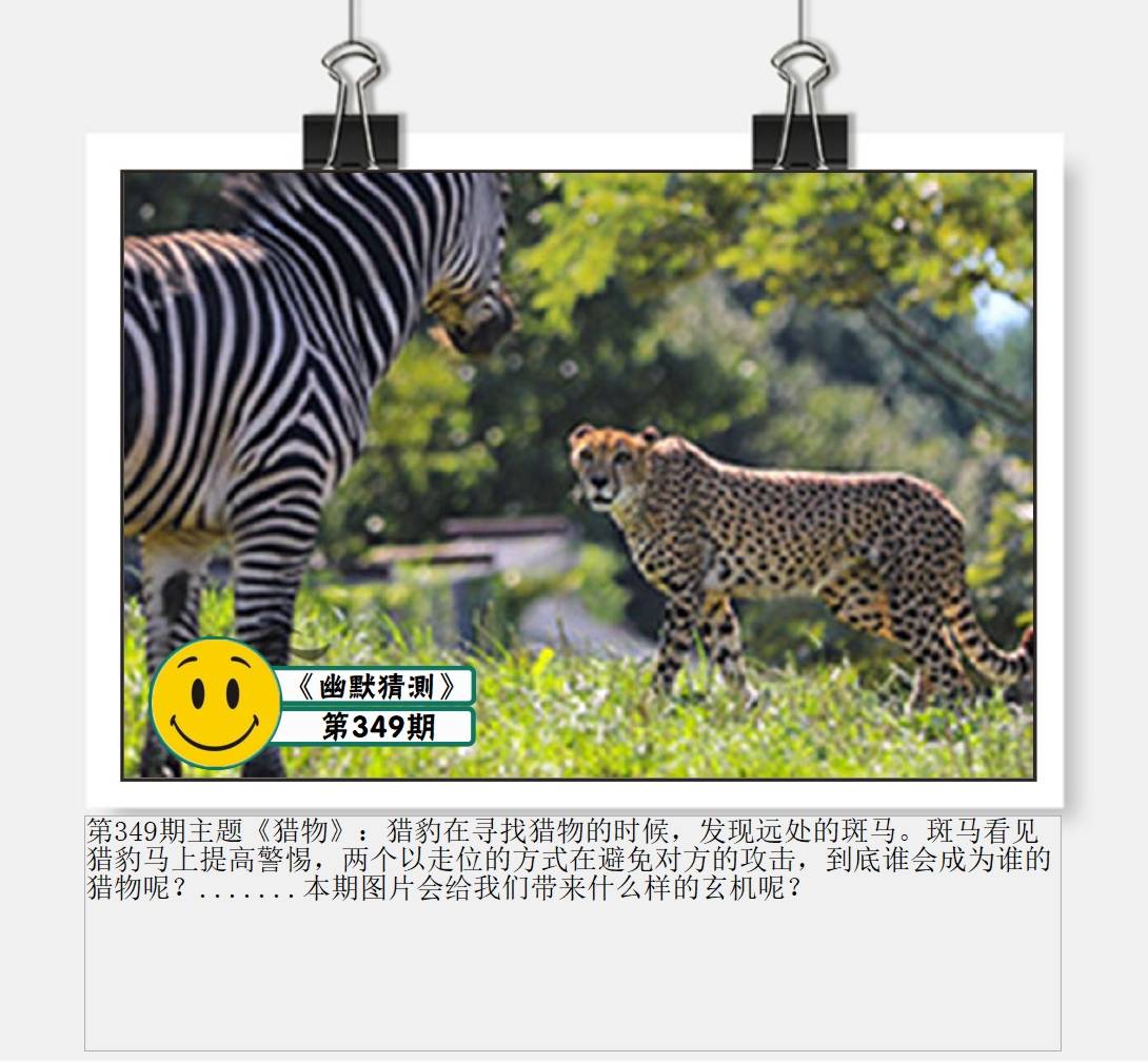 图片正在更新中……