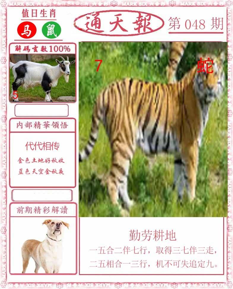 正版通天报