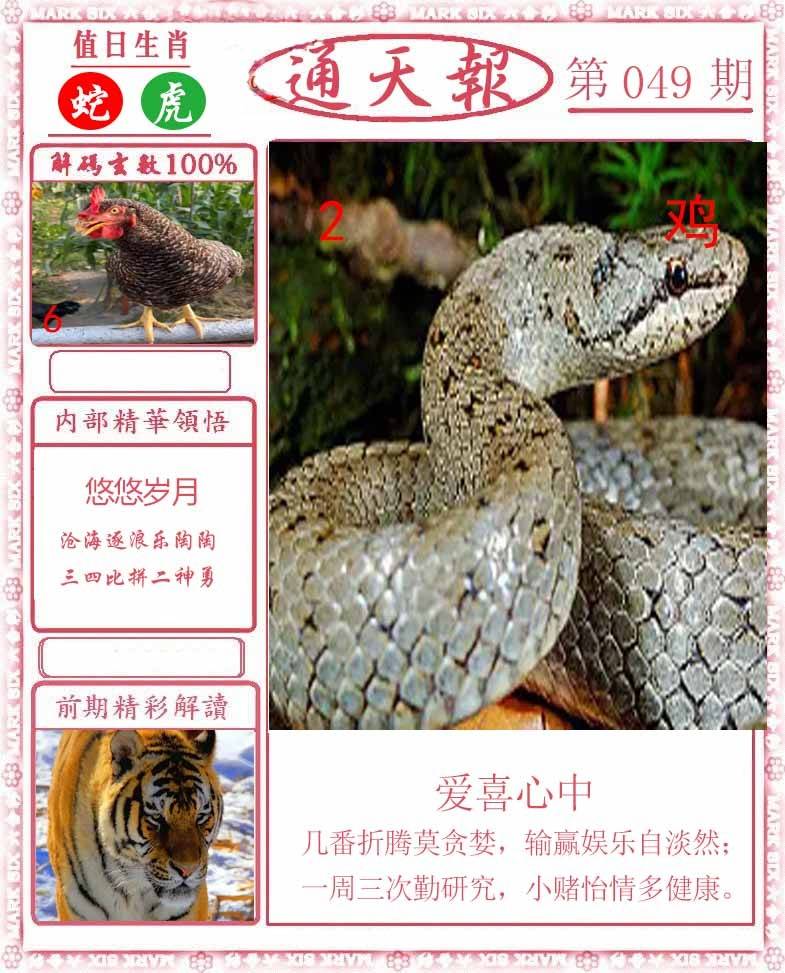 正版通天报