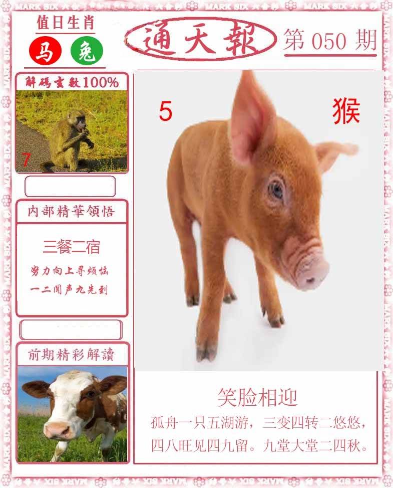正版通天报