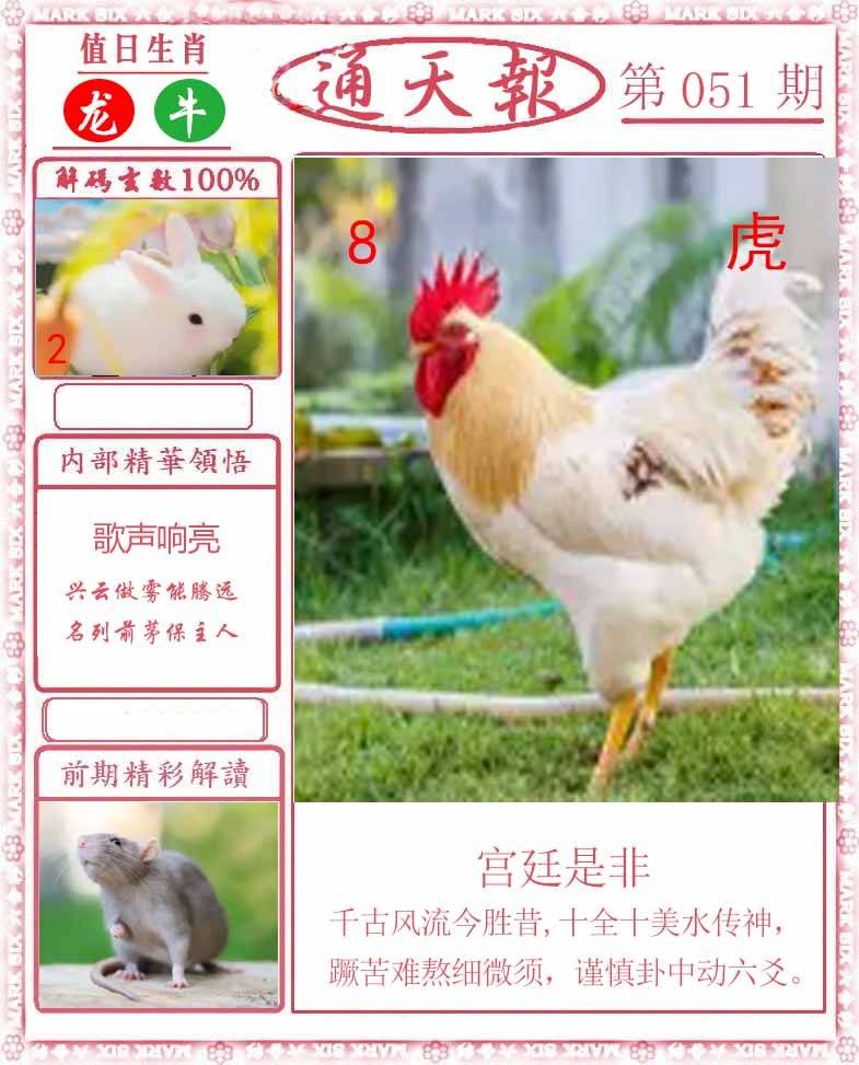 正版通天报