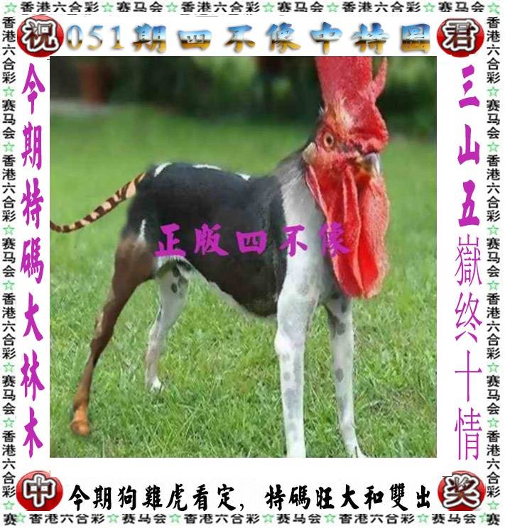四不像中特图