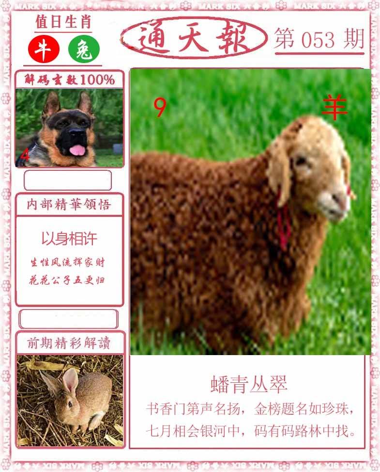 正版通天报