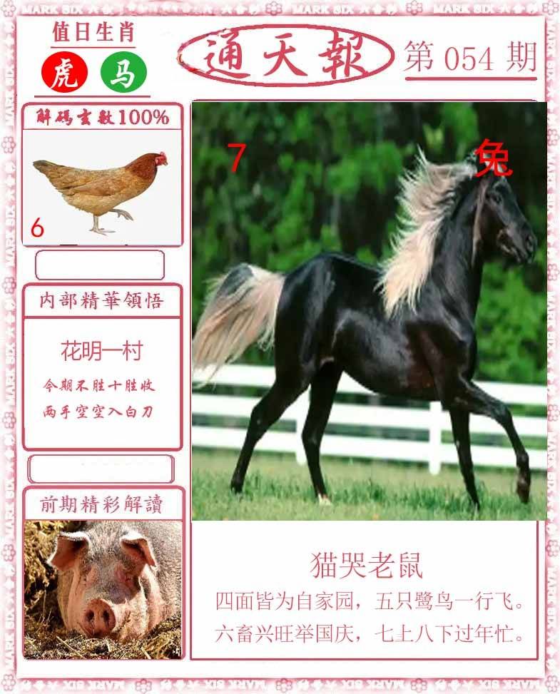正版通天报