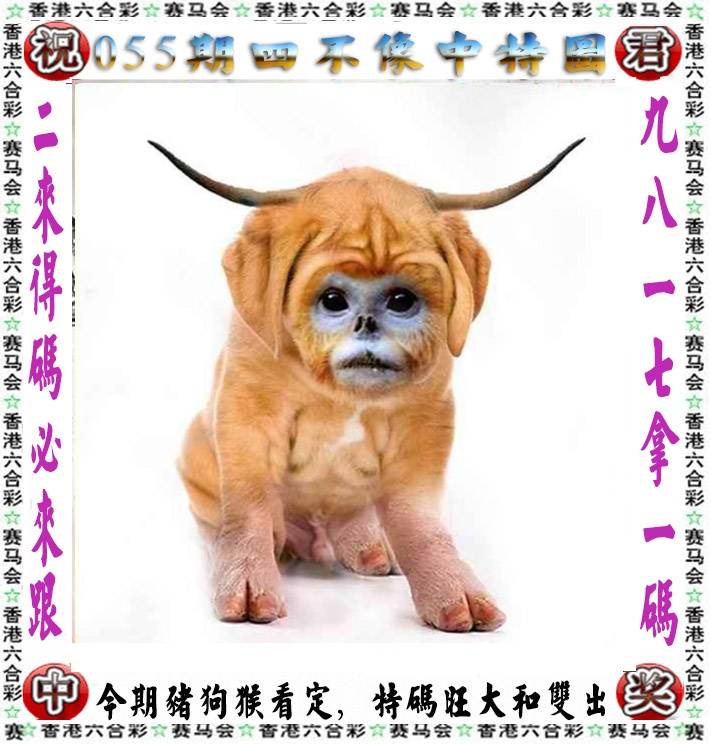 四不像中特图