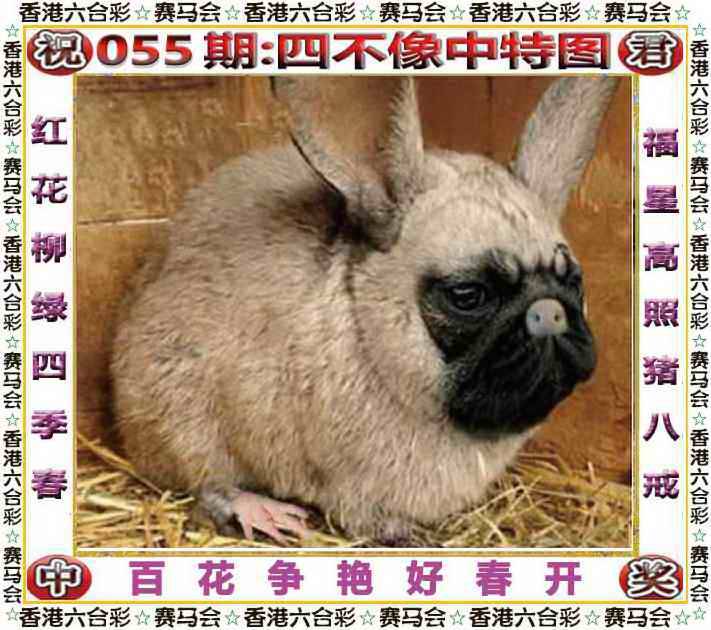 正版四不像