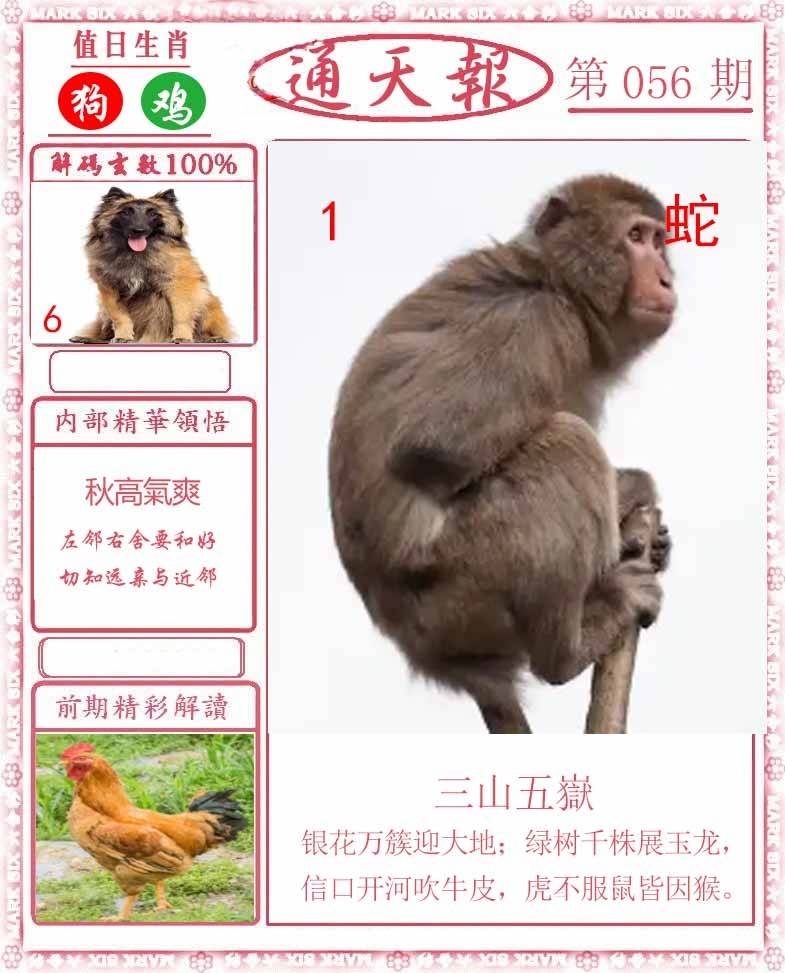 正版通天报