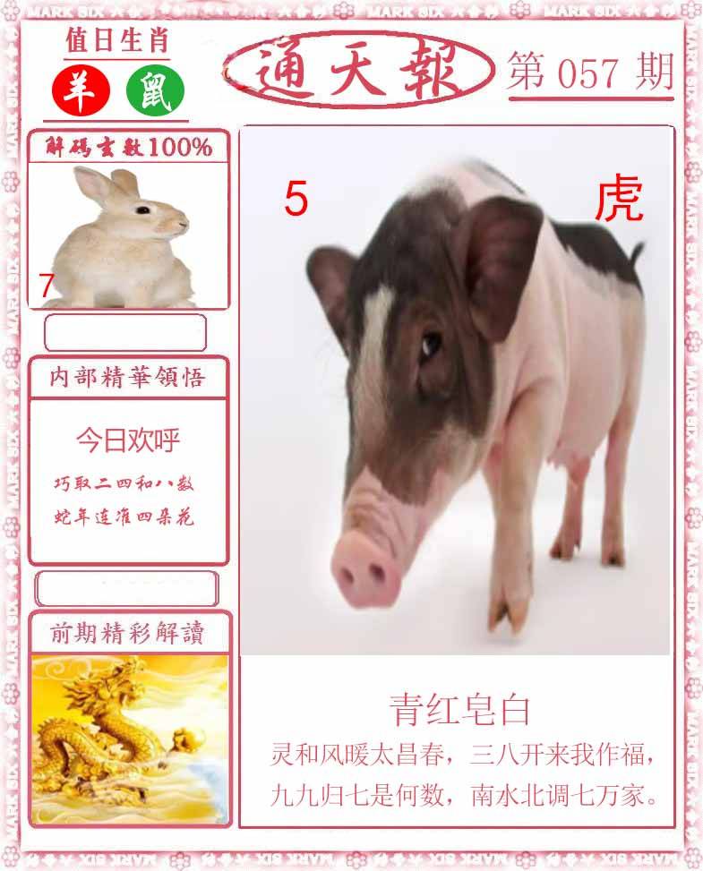 正版通天报