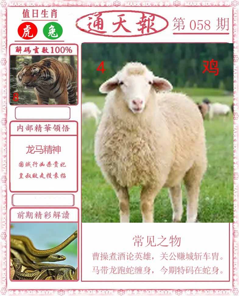 正版通天报