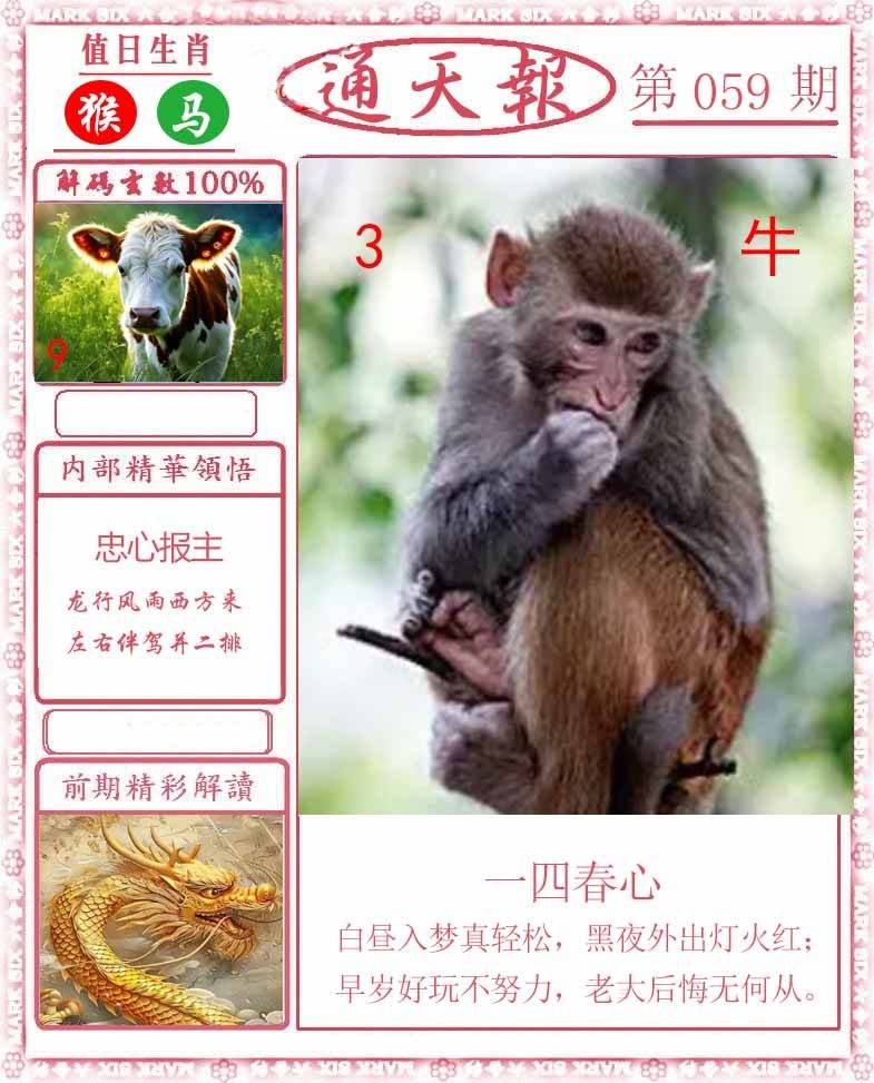 正版通天报