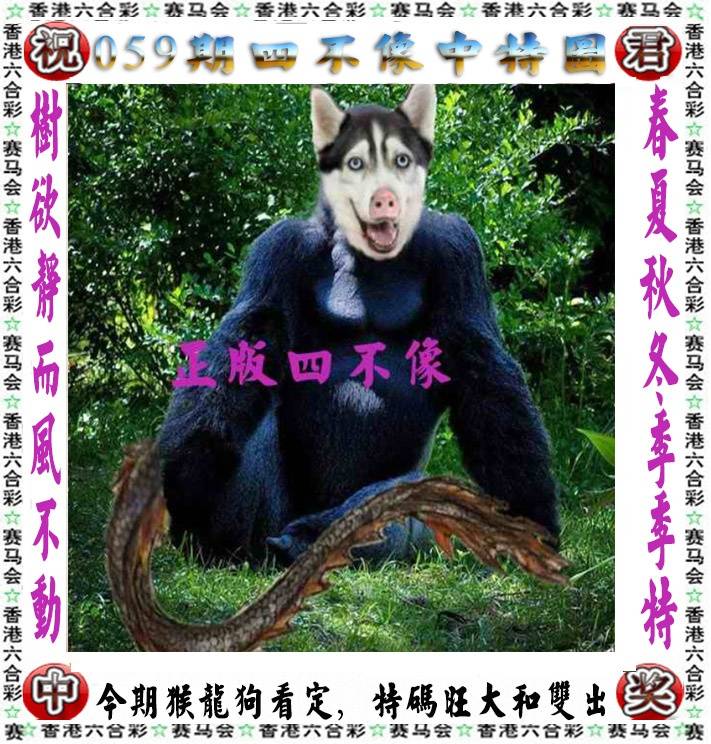 四不像中特图