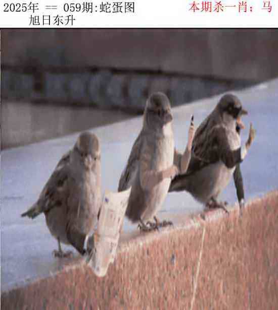 正版蛇蛋图