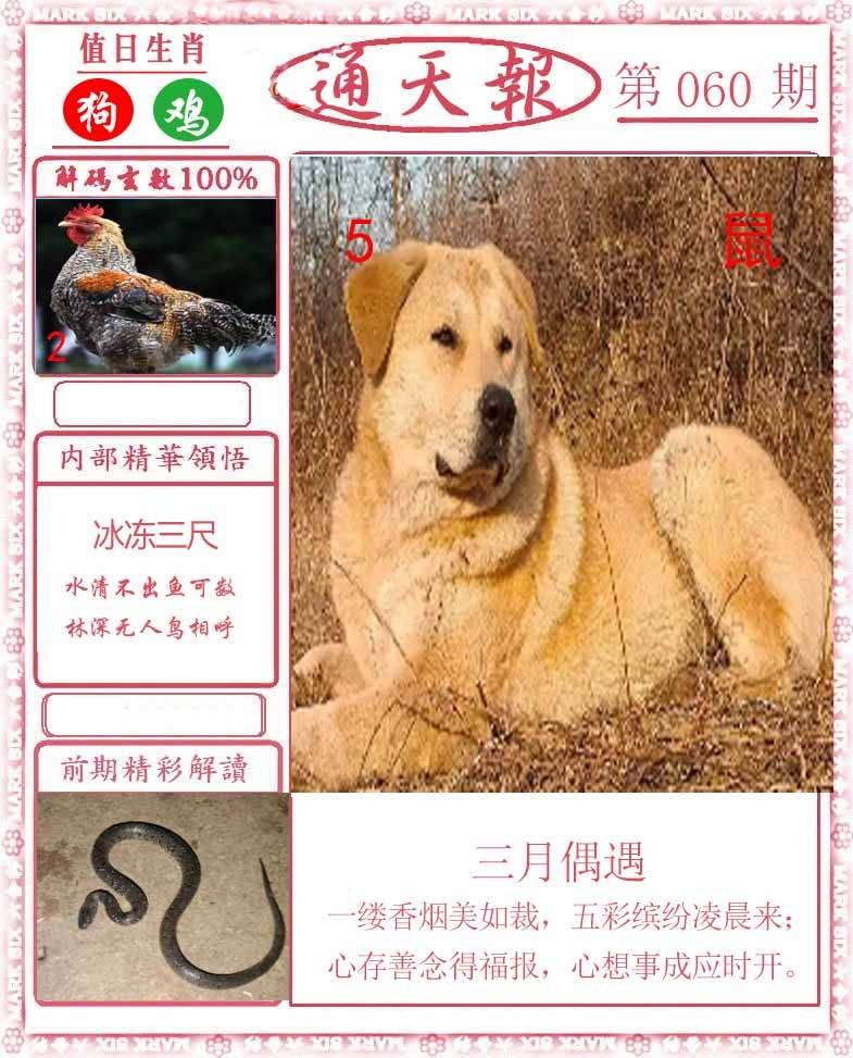 正版通天报