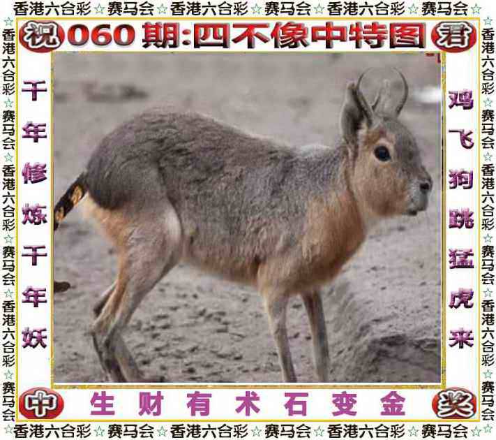 正版四不像