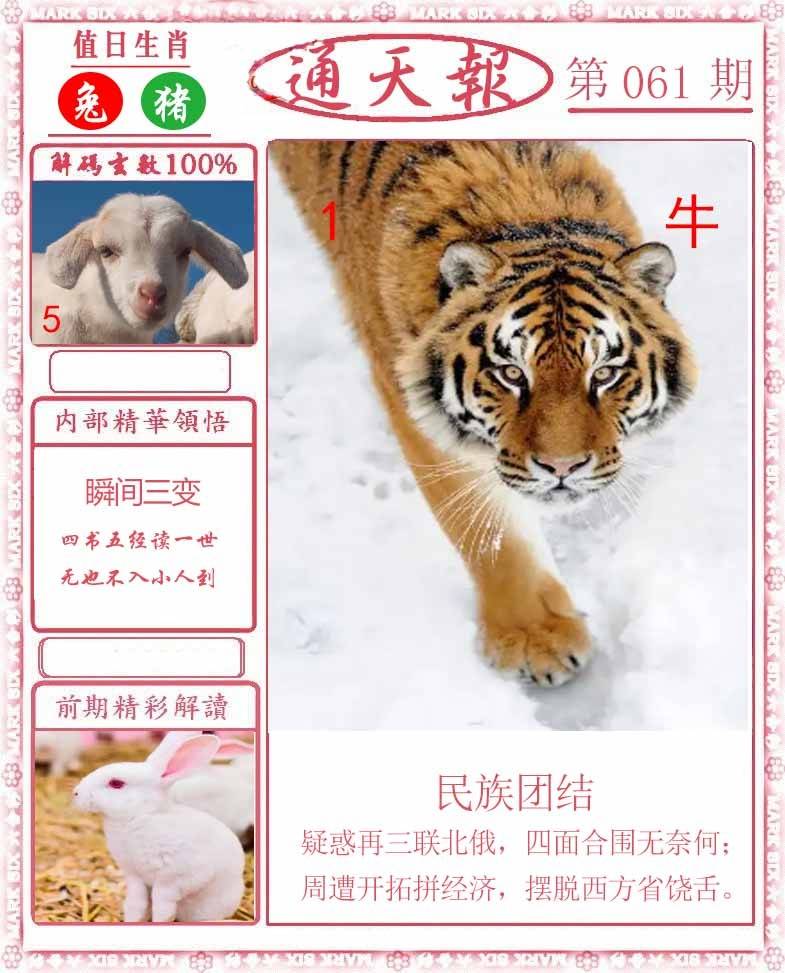 正版通天报