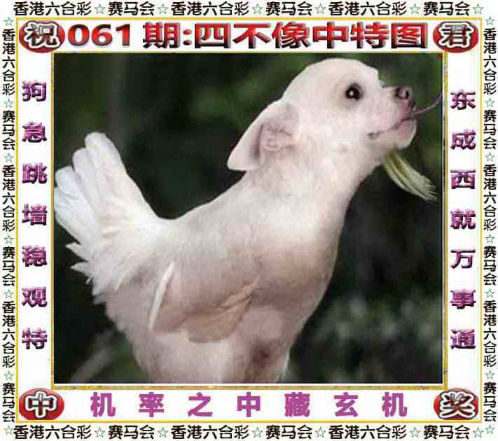 正版四不像