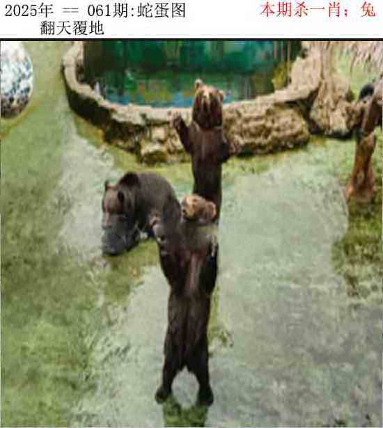 正版蛇蛋图