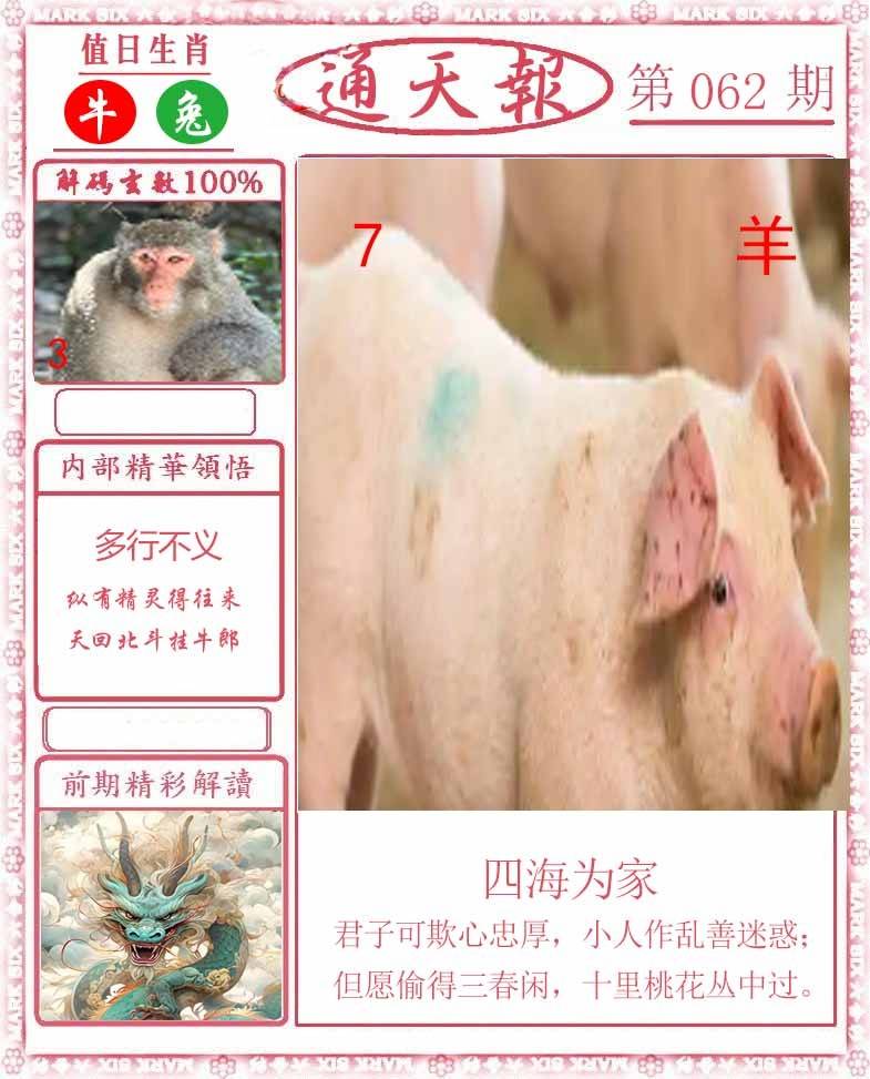 正版通天报