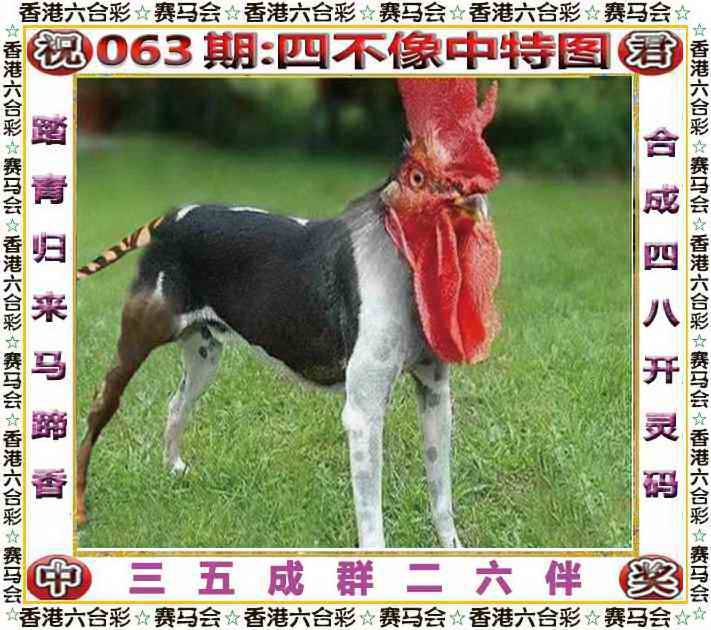 正版四不像