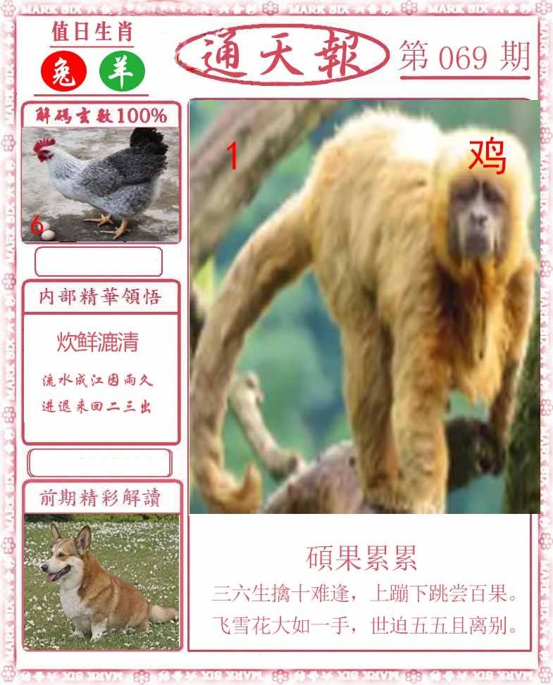 正版通天报