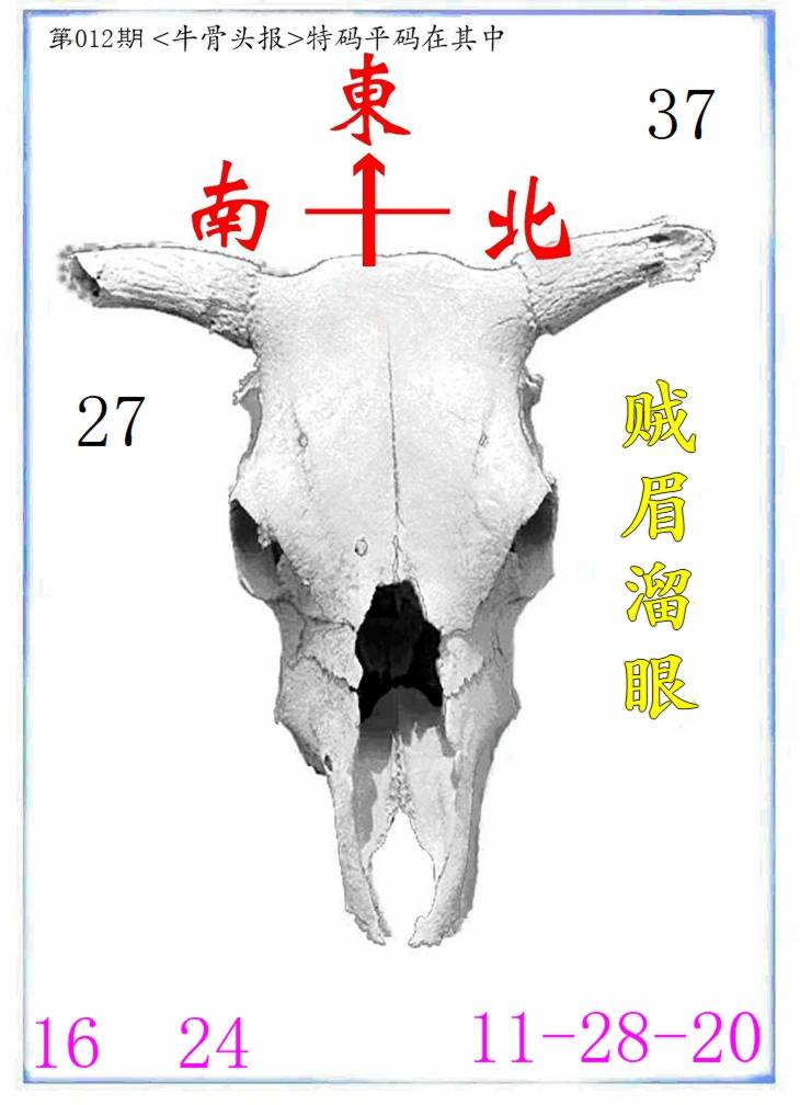 图片正在更新中……