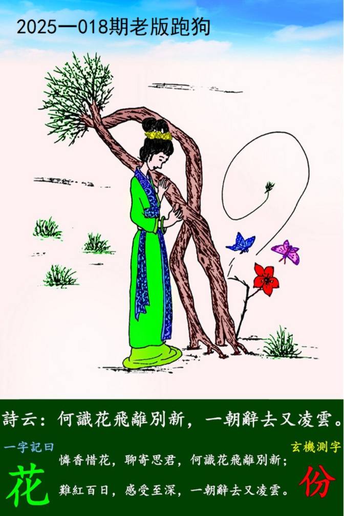 图片正在更新中……