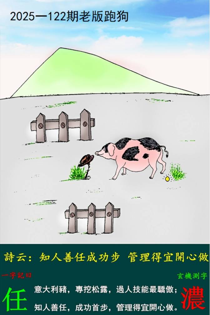 图片正在更新中……