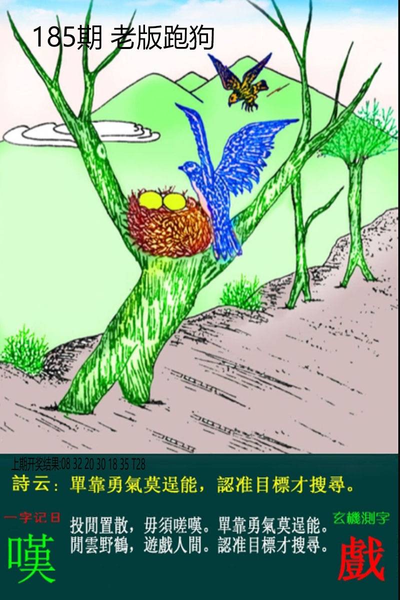图片正在更新中……