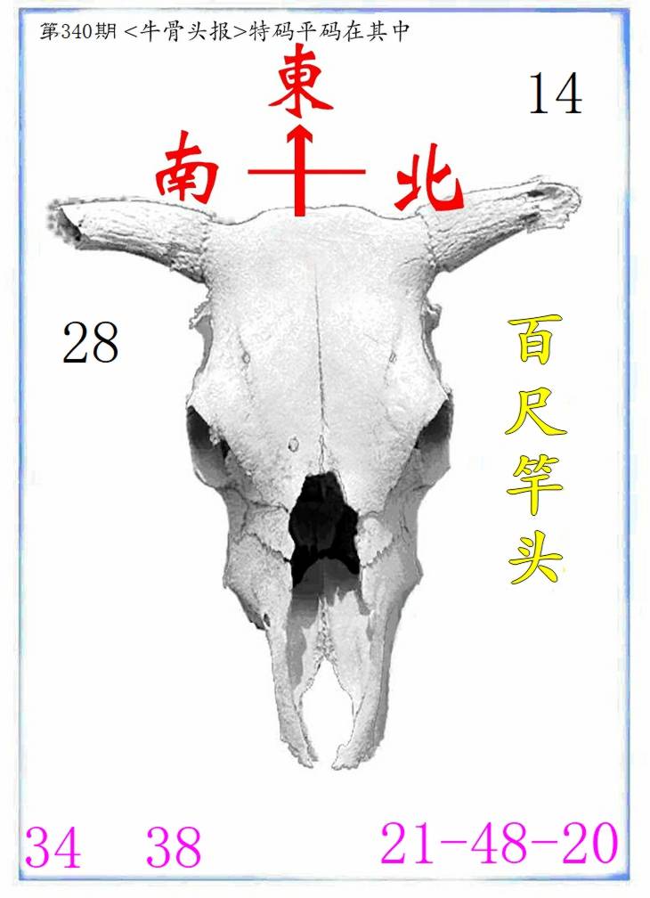 图片正在更新中……