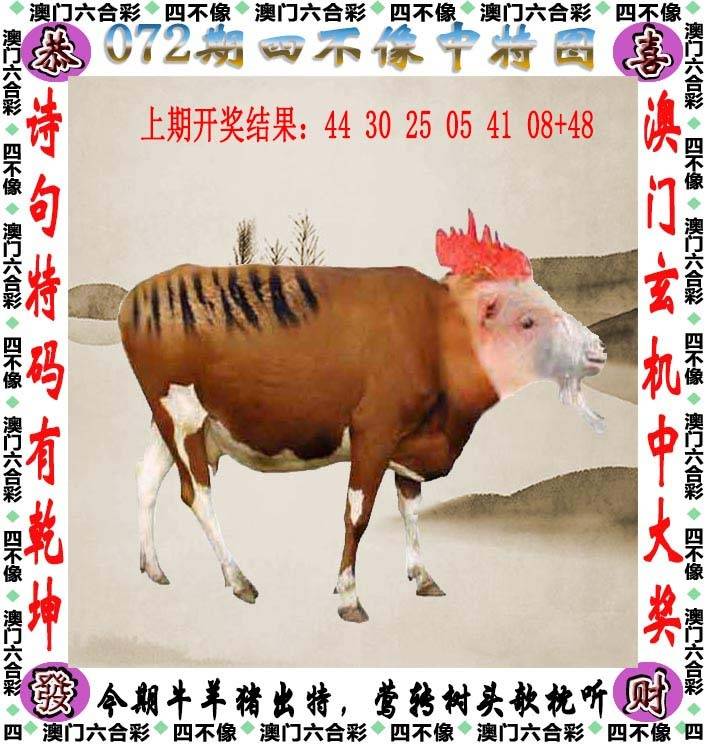 ���ͼƬ�Ŵ�